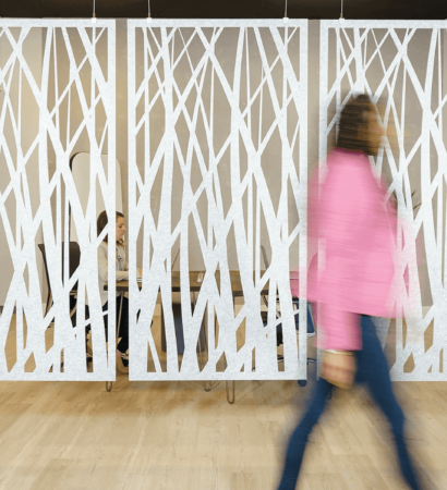 Addo-Roseau-Snow-Open-Office_1920x1050_small-410x450