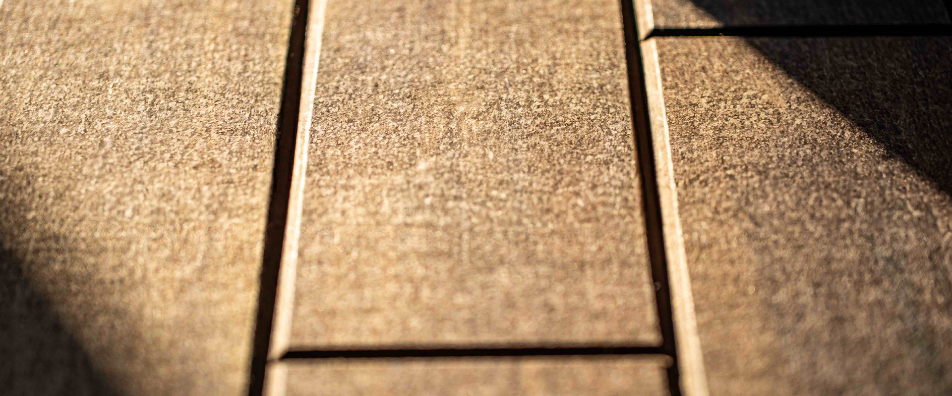 Wander Close Up