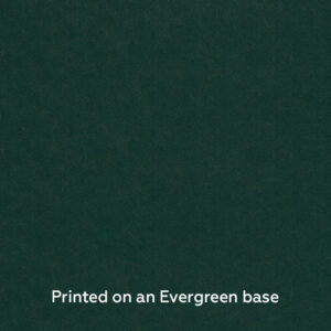 Alexandrite Evergreen